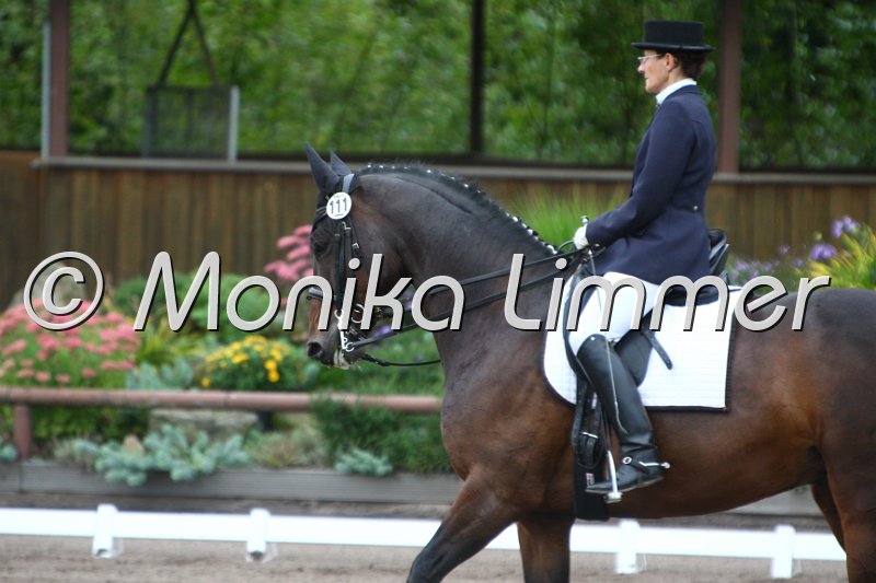 009M7183_Rio_Dressur M.JPG